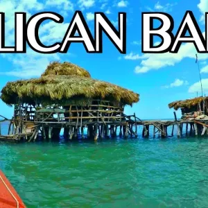 Pelican Bar, Black River Safari & Ys Falls Combo Tour Package